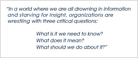 In a world where we are all drowning in information and starving for insight, clients consistently come to me with three critical questions:      What is it I need to know?     What does it mean?     What do I do about it?